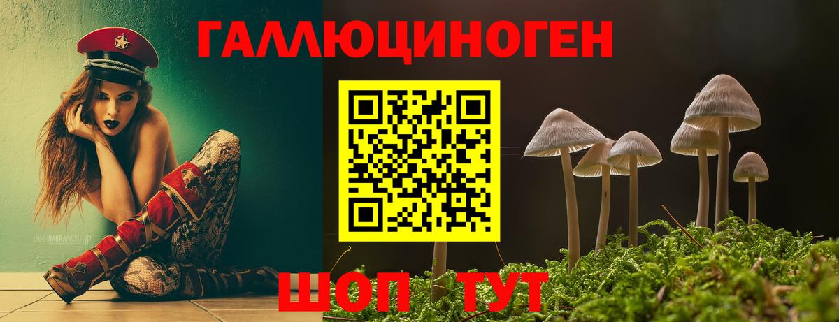 Галлюциногенные грибы Psilocybe  Вход с VPN  цена   Псилоцибиновые грибы прущие грибы  Лениногорск 
